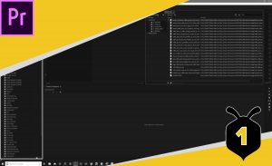 Read more about the article The Premiere Pro Workspace & Project Setup