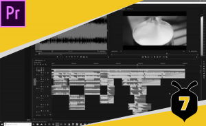 Read more about the article Editing with Sound Effects in Premiere
