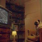 Convert VHS Tapes to Digital