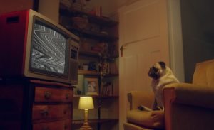 Read more about the article Convert VHS Tapes to Digital